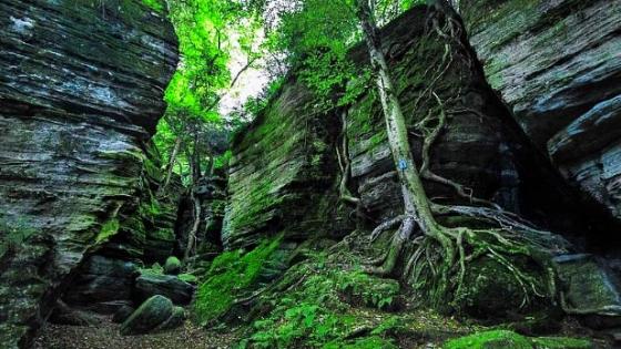 Panama Rocks Scenic Park - Photo  by Jonathan Weston