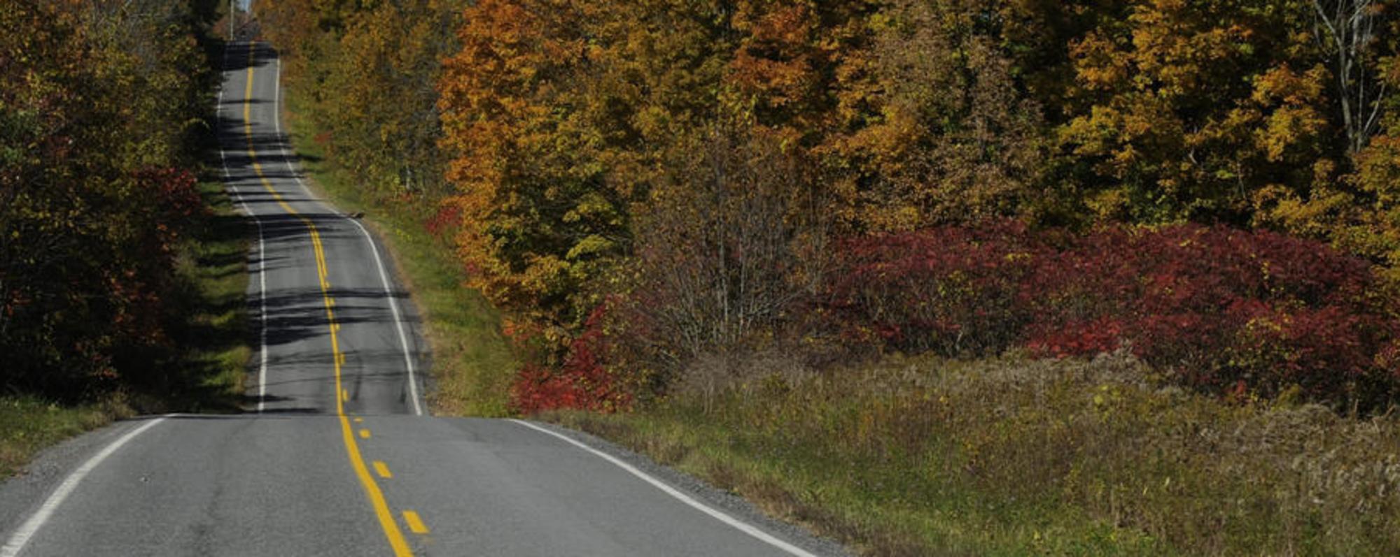 Country Road in Schoharie County