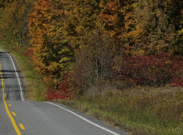 Country Road in Schoharie County