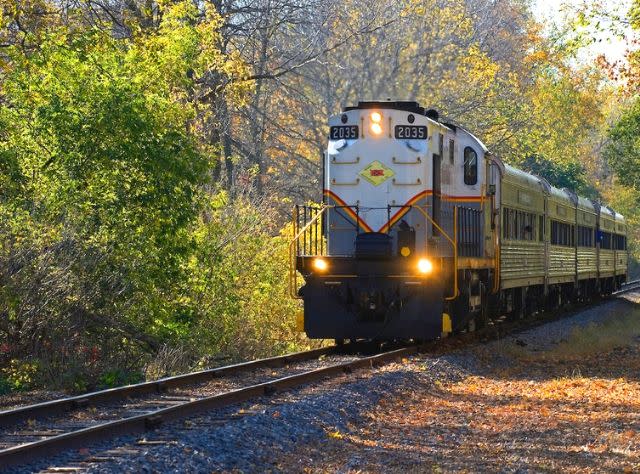 Medina Railroad Museum and Train Excursion