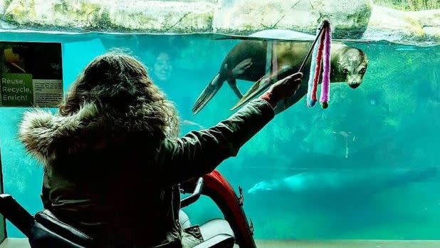 Woman in mobility scooter holding a toy out for sea lion at the Seneca Park Zoo in Rochester, New York