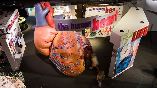 The human heart exhibit at MOST- Milton J. Rubenstein Museum of Science & Technology in Syracuse, New York