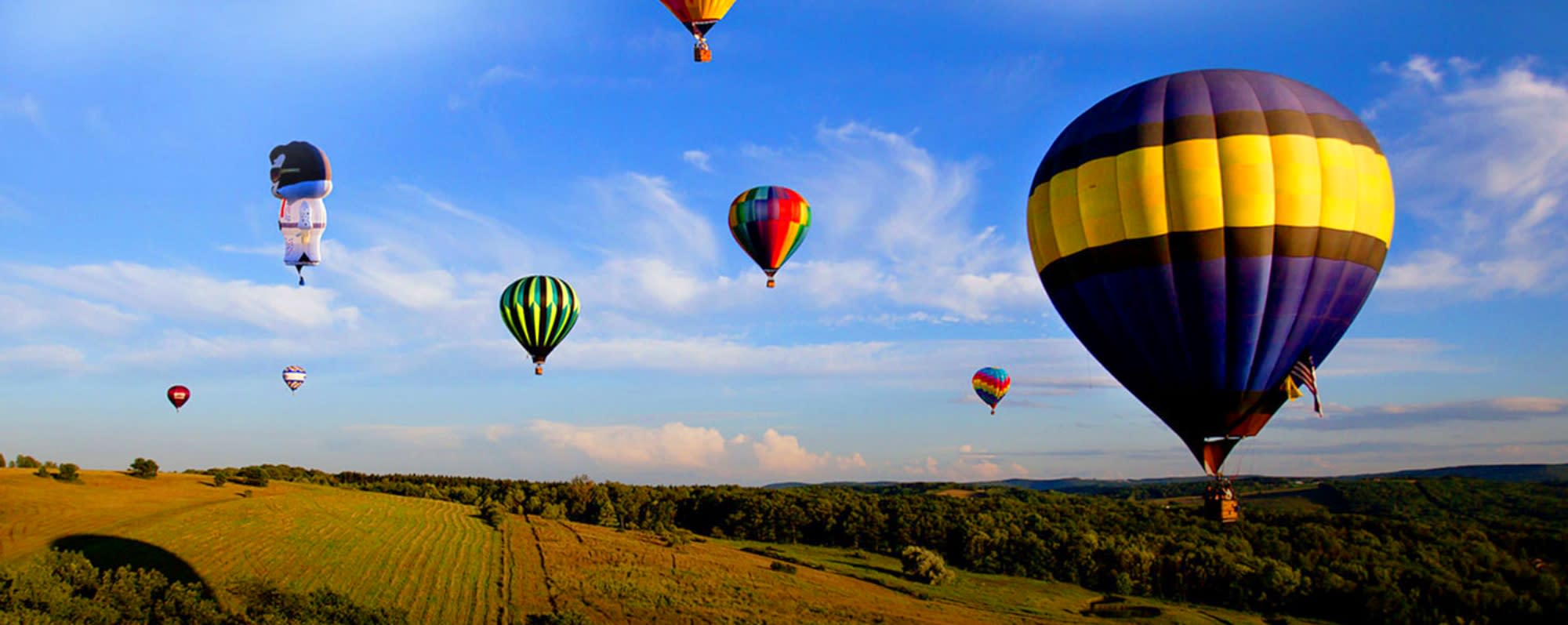 Spiedie Fest & Balloon Rally