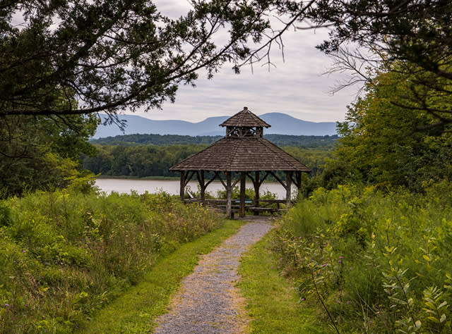 A photo of a gazebo at the Green Port Conservation Area