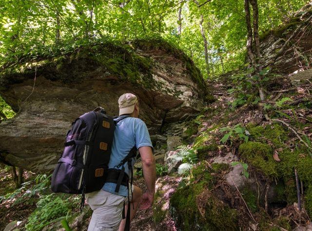 A man hiking to Cabot Pond Lookout from Little Pond Campground