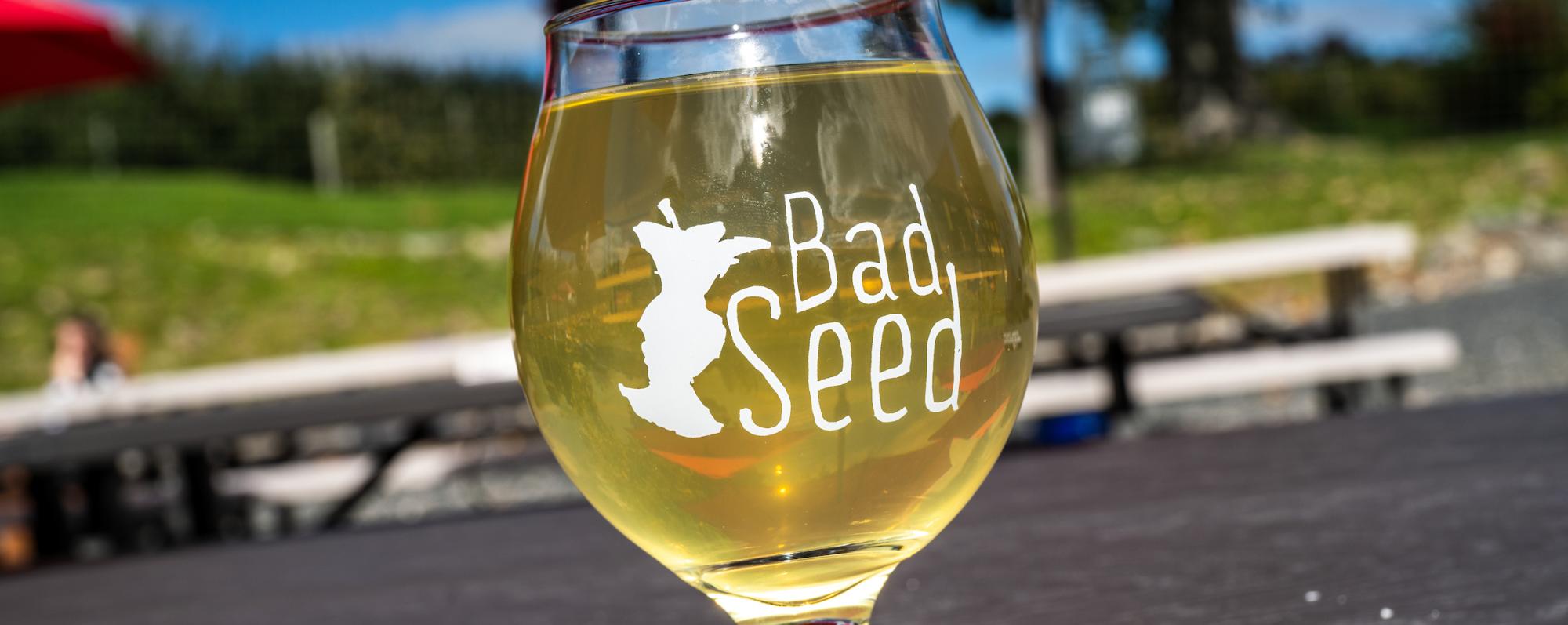 A glass of Bad Seed Cider Co. stands on a table on an outdoor patio