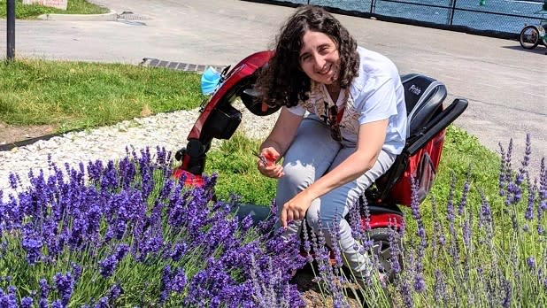 A person in a wheelchair picks lavender at the Lavender Farm at Governor's Island in New York City.