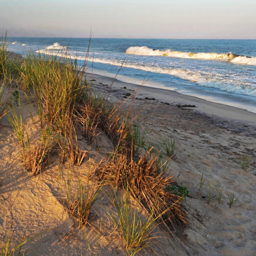 Dunes at Hither Hills State Park