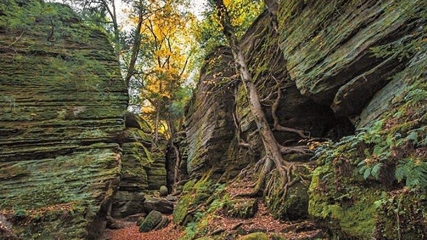 Autumn-colored trees stand amid the towering rock walls of Panama Rocks Scenic Park