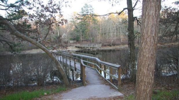 A view of wooden walkways over water in the Ridge Conservation Area