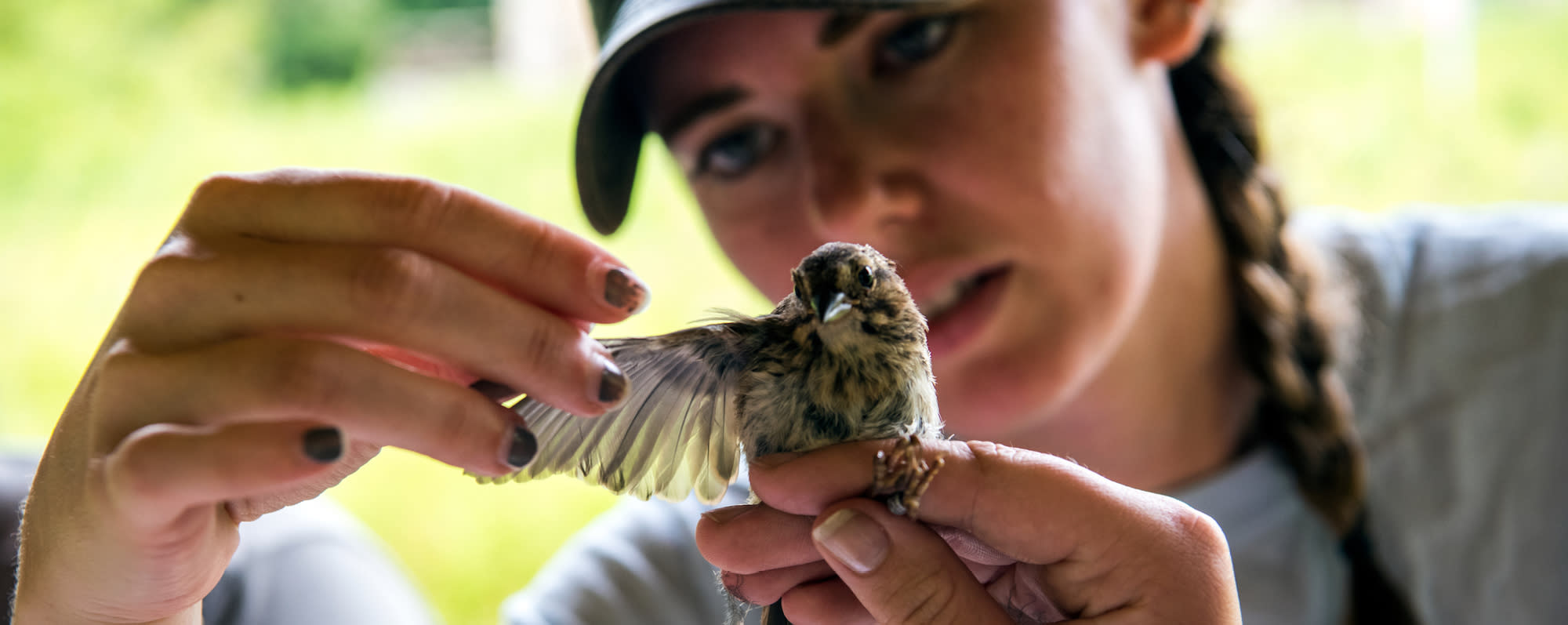 A picture of a girl holding a bird at the The Roger Tory Peterson Institute of Natural History