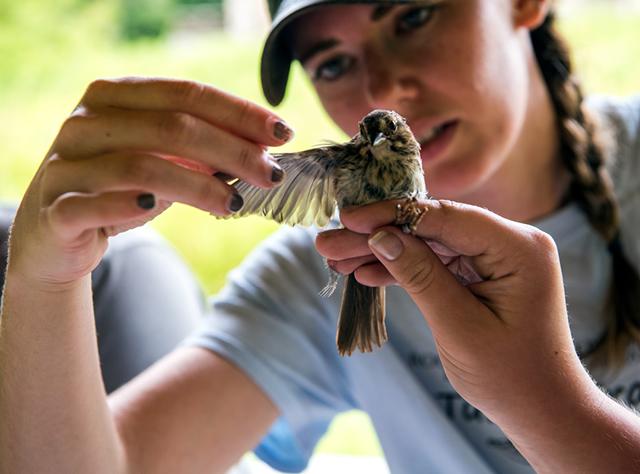 A picture of a girl holding a bird at the The Roger Tory Peterson Institute of Natural History