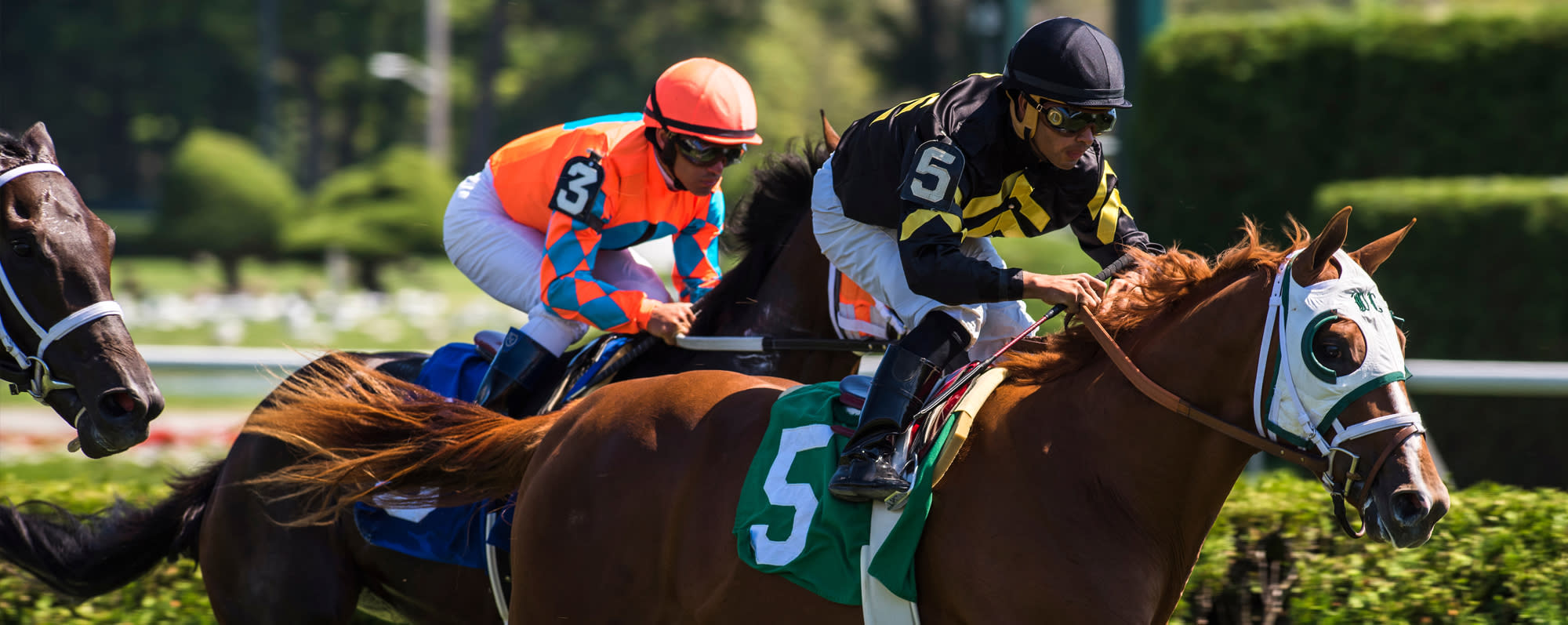 Two jockeys racing on their thoroughbred horses at the Saratoga Race Track