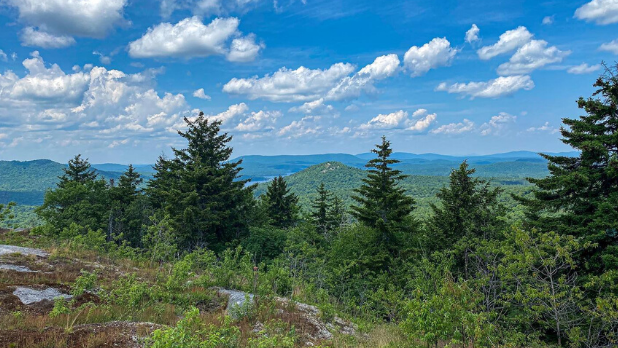 A view of pine trees, mountains, and a clear sky on top of the Tupper Lake Triad